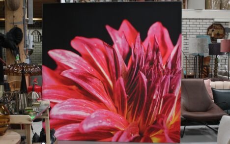 Schilderij aluminium frame met doek 220x220