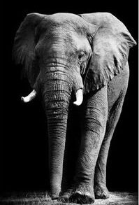 AluArt Single Power 120 x 180 cm.