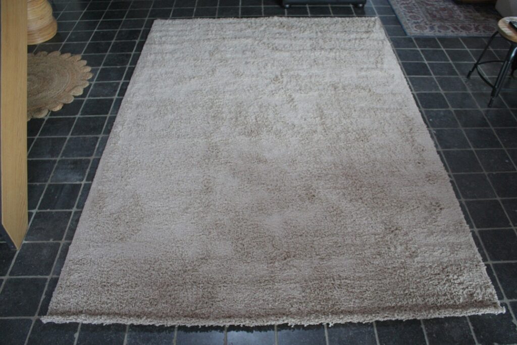 Vloerkleed Shaggy Life beige 200x290