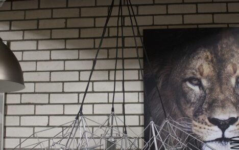 Hanglamp Kubinka 6 L