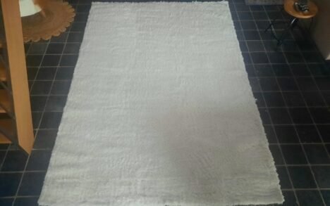 Vloerkleed Shaggy Brilliant Snow 200x290