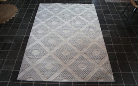 Vloerkleed Pisa Inez 160x230